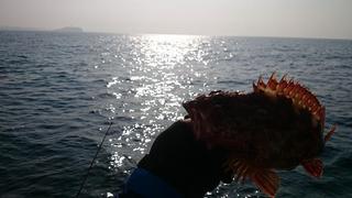 DSC_0238ブログ.jpg